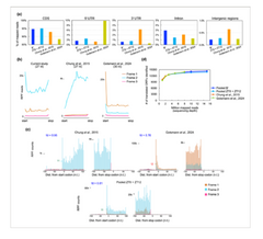 優化的核醣體分析（Ribo-seq）揭示衣藻晝夜節律下轉譯調控的新見解相片